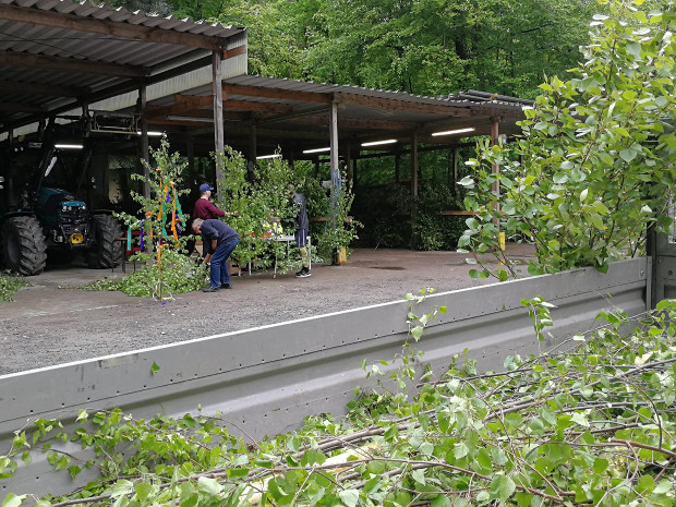 Maibaumverkauf im Hardter Wald am Dienstag, 30. April