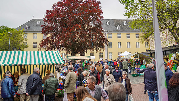 Spargel- & Genussmarkt 2024: kulinarische Highlights in der Burggemeinde Brüggen