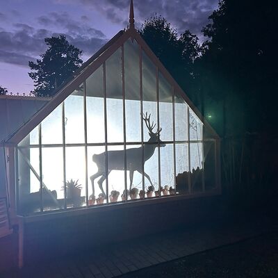 Lichtfestival Schloss Dyck, 10.09.2025, Jüchen