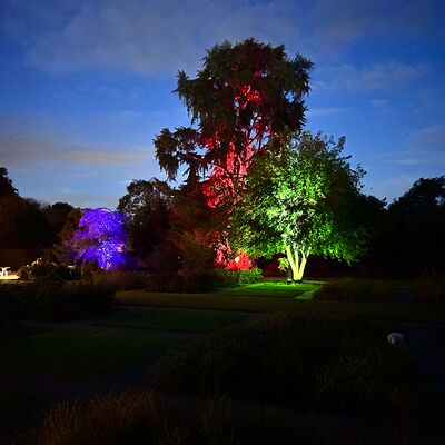 Lichtfestival Schloss Dyck, 10.09.2025, Jüchen