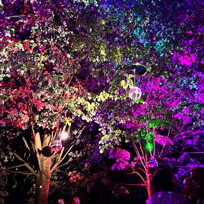 Lichtfestival Schloss Dyck, 10.09.2025, Jüchen