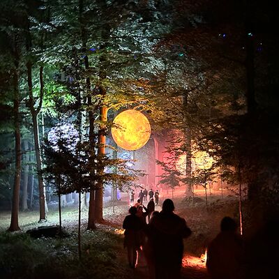 Lichtfestival Schloss Dyck, 10.09.2025, Jüchen