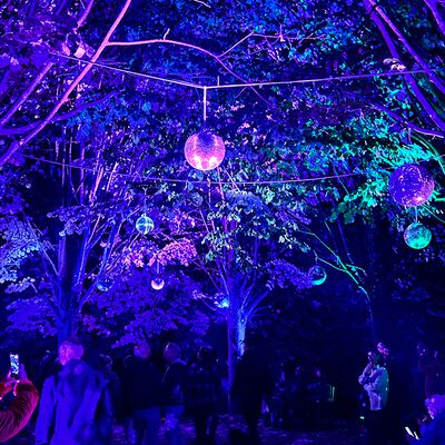 Lichtfestival Schloss Dyck, 10.09.2025, Jüchen