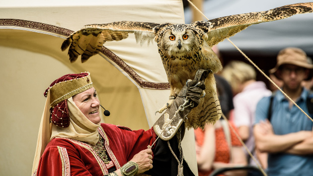 Eine Falknerin hält einen Falken fest