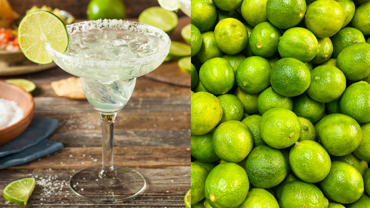 Zwei Fotos, auf den Linken ein Margarita Cocktail, auf dem rechten ganz viele Limetten