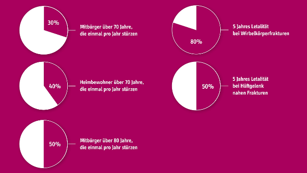 Tortendiagramme über die Unfallhäufigkeit älterer Mitbürger:innen