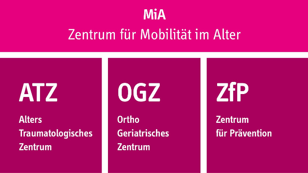 EIne Grafis, die den Aufbau des Zentrums für Mobilität im Alter zeigt